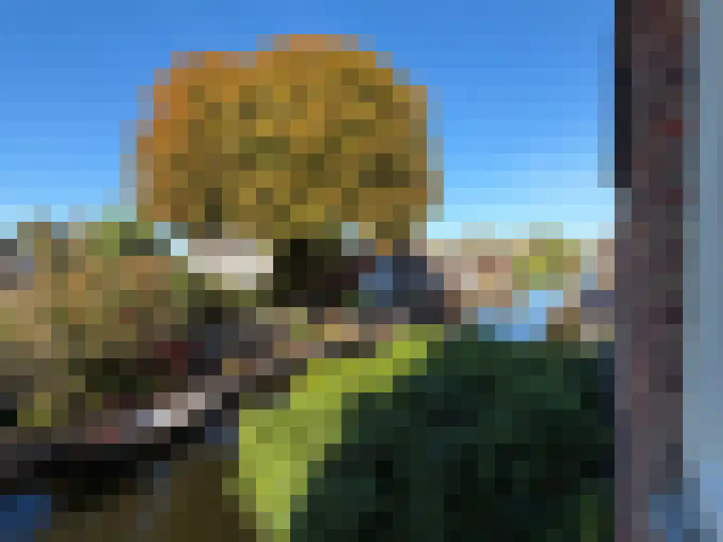 Zuidereinde 206 's-Graveland thumbnail 39