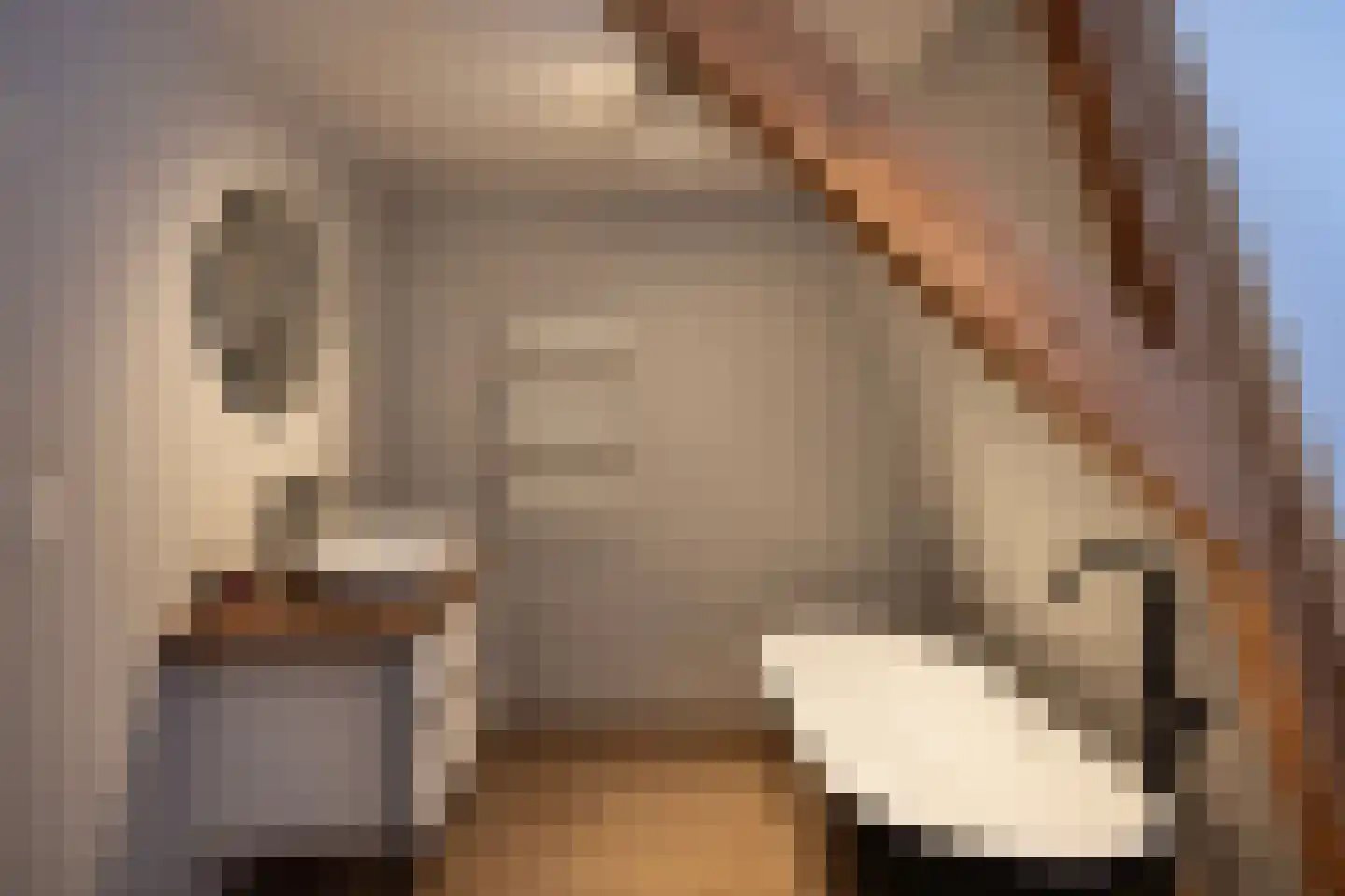 Zuidereinde 206 's-Graveland thumbnail 44