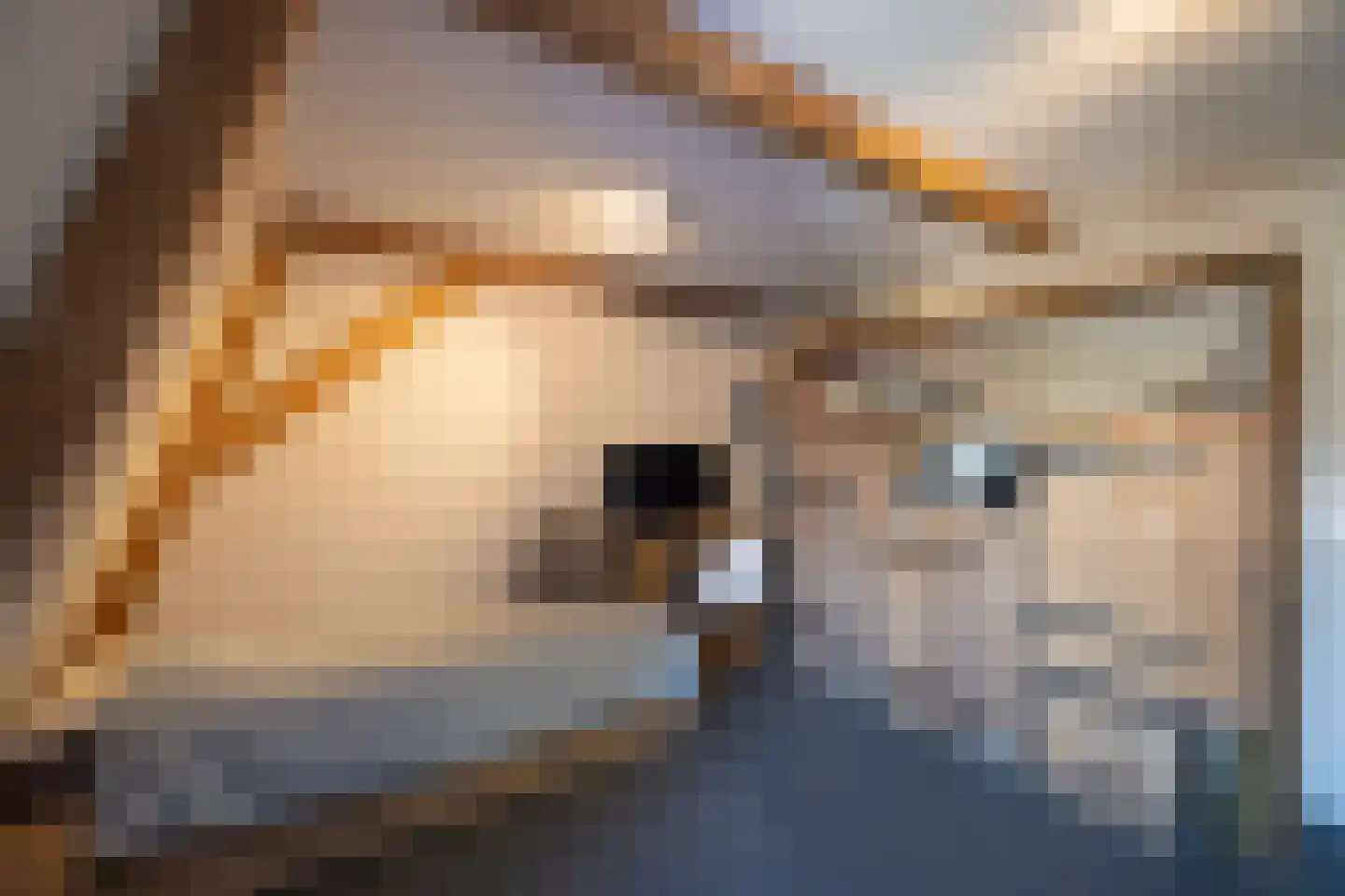 Zuidereinde 206 's-Graveland thumbnail 46