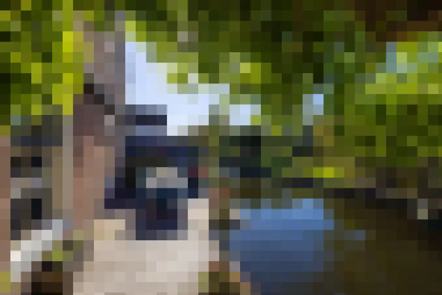 Zuidereinde 206 's-Graveland thumbnail 65
