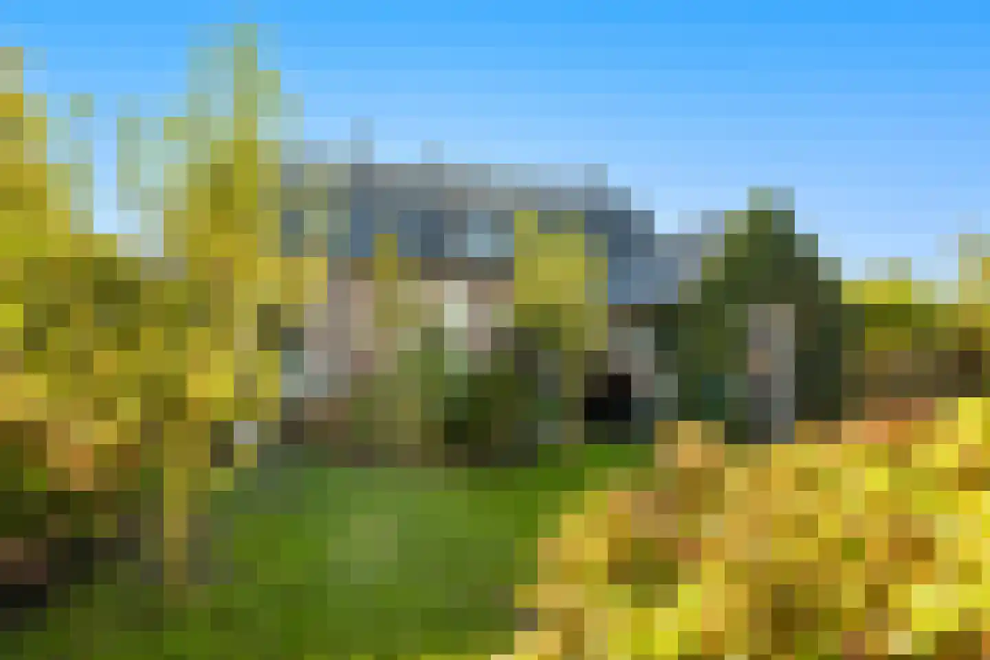 Zuidereinde 206 's-Graveland thumbnail 69