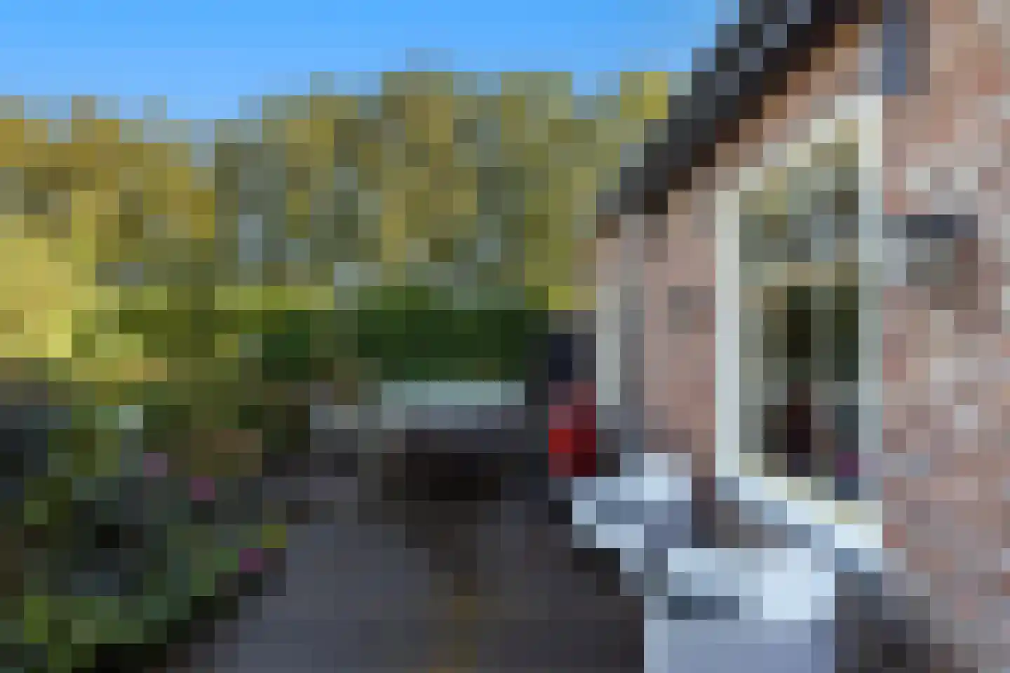 Zuidereinde 206 's-Graveland thumbnail 71