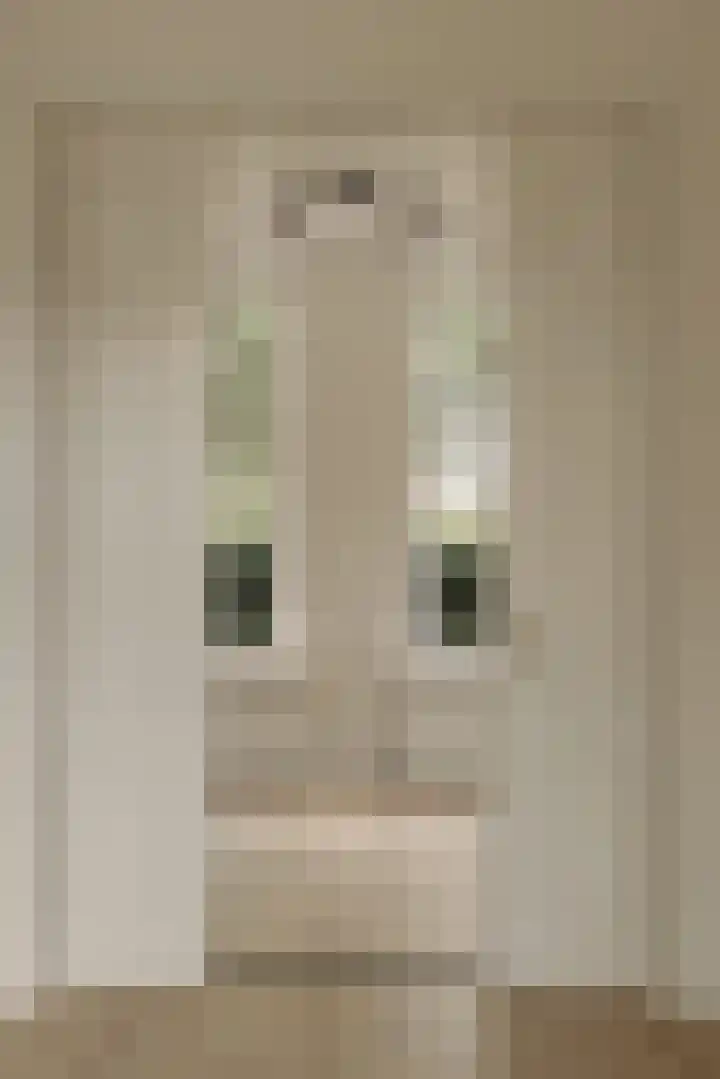 Zuidereinde 24 's-Graveland thumbnail 5