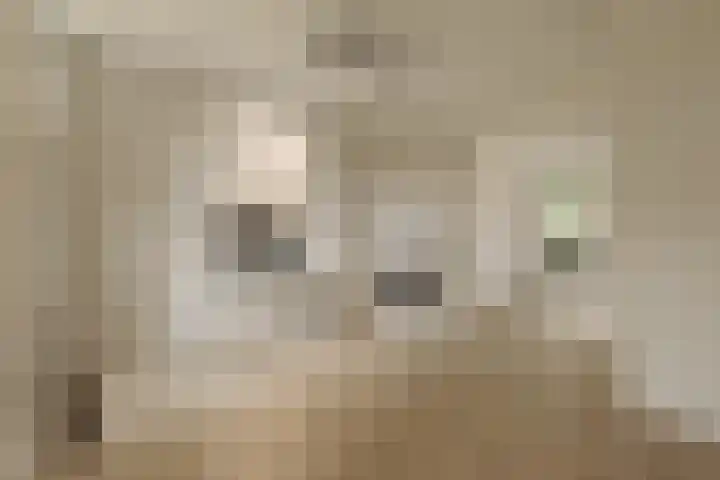 Zuidereinde 24 's-Graveland thumbnail 6