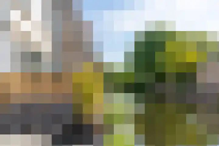Zuidereinde 252 a 's-Graveland thumbnail 10