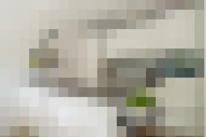Zuidereinde 252 a 's-Graveland thumbnail 14