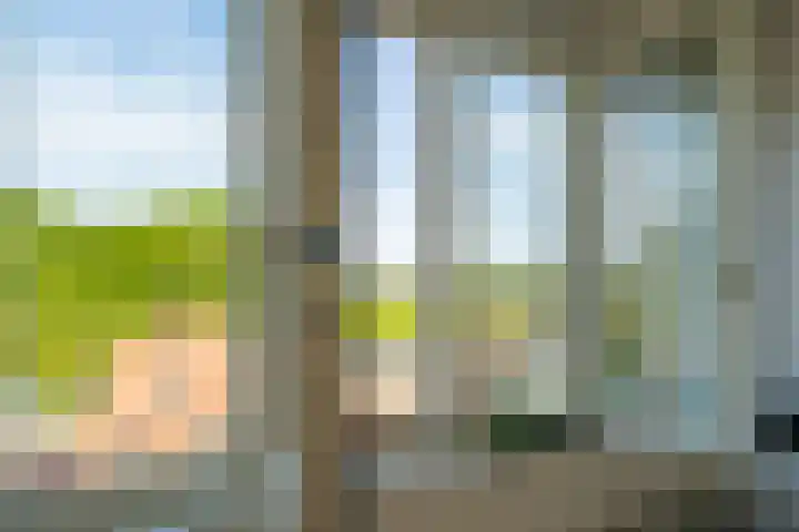 Zuidereinde 252 a 's-Graveland thumbnail 30
