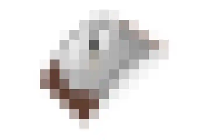 Zuidereinde 252 a 's-Graveland thumbnail 37