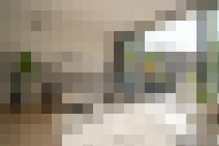 Zuidereinde 252 a 's-Graveland thumbnail 6