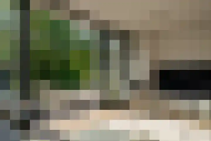 Zuidereinde 252 a 's-Graveland thumbnail 7