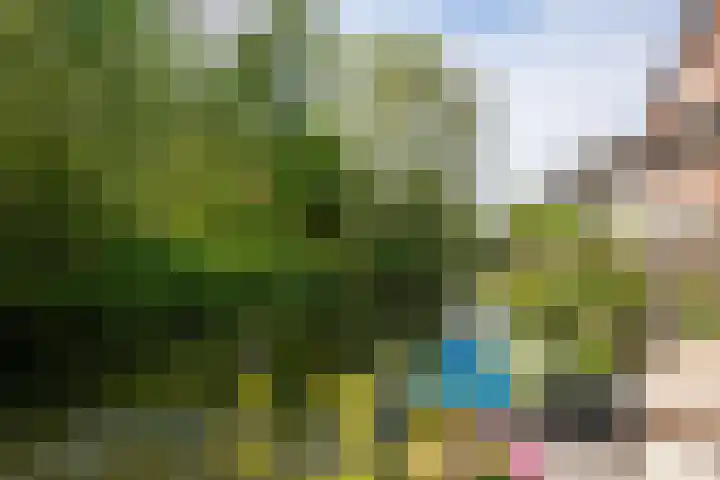Zuidereinde 252 a 's-Graveland thumbnail 8