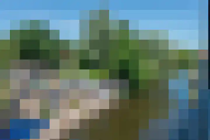 Zuidereinde 254 F 's-Graveland thumbnail 30