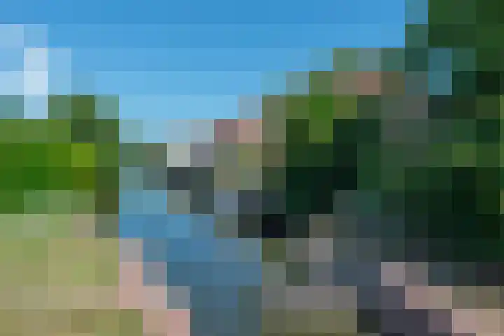 Zuidereinde 254 F 's-Graveland thumbnail 34
