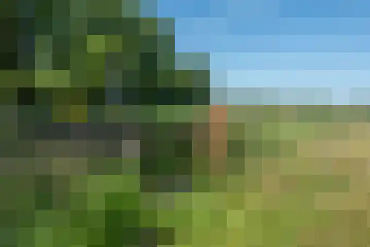 Zuidereinde 254 F 's-Graveland thumbnail 35