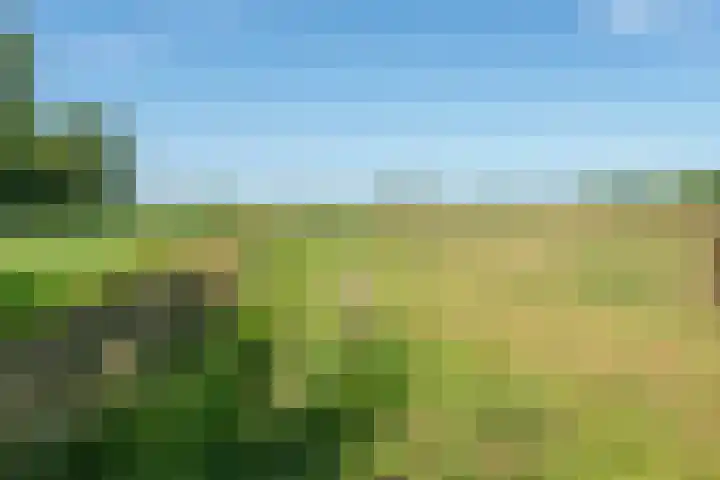 Zuidereinde 254 F 's-Graveland thumbnail 36