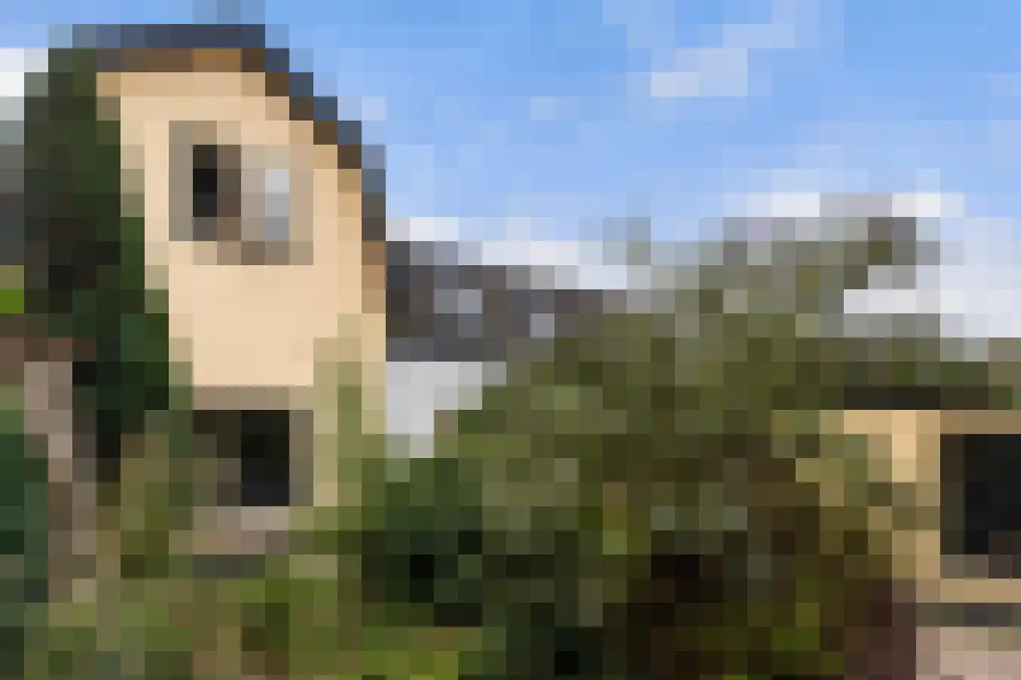 Zuidereinde 30 's-Graveland thumbnail 31