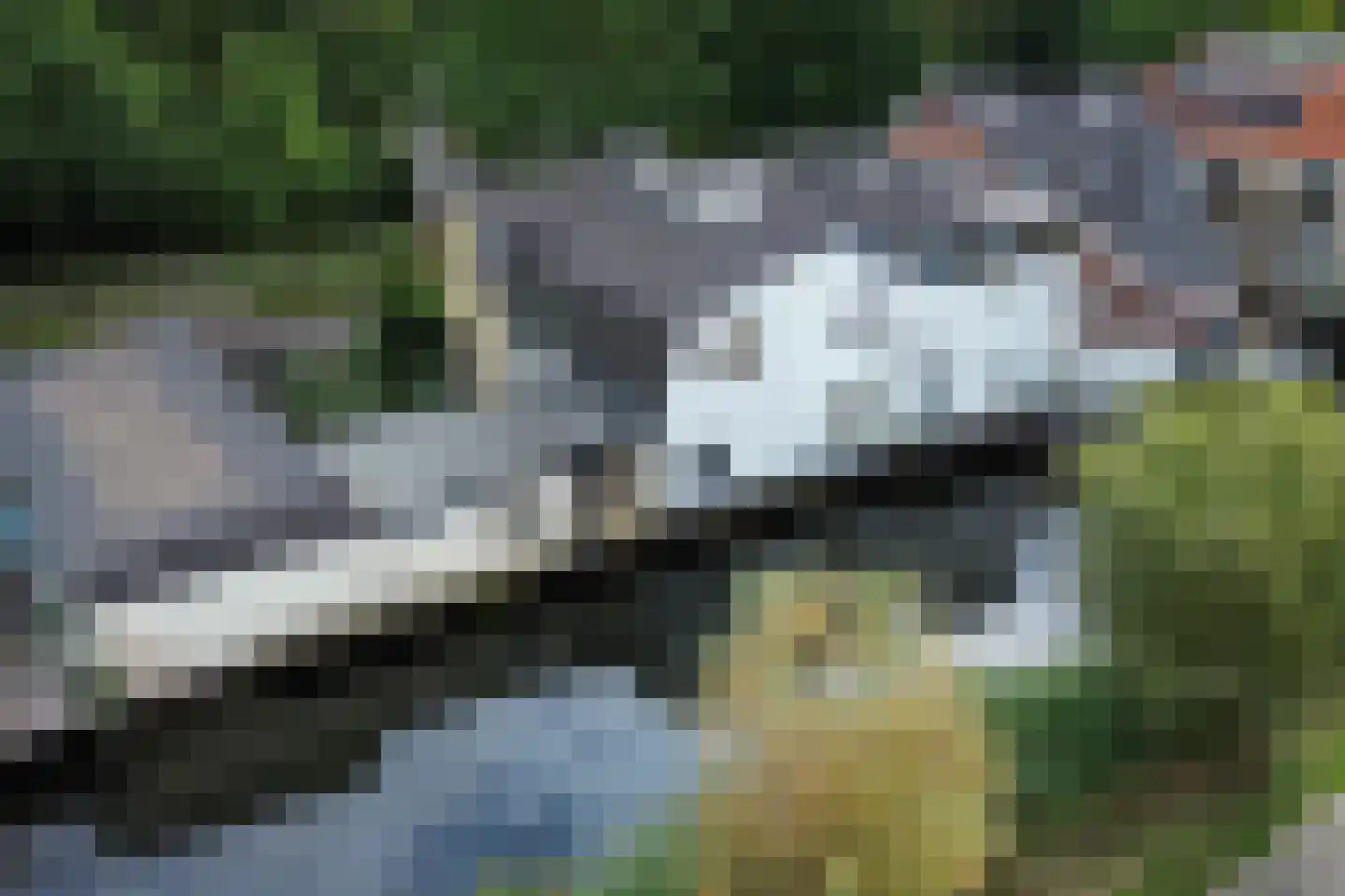 Zuidereinde 30 's-Graveland thumbnail 51