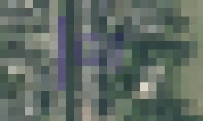 Zuidereinde 30 's-Graveland thumbnail 55