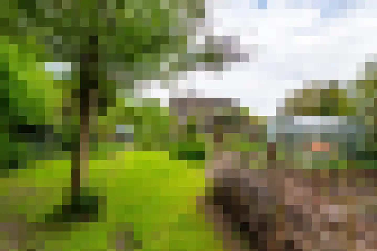 Zuidereinde 33 's-Graveland thumbnail 50
