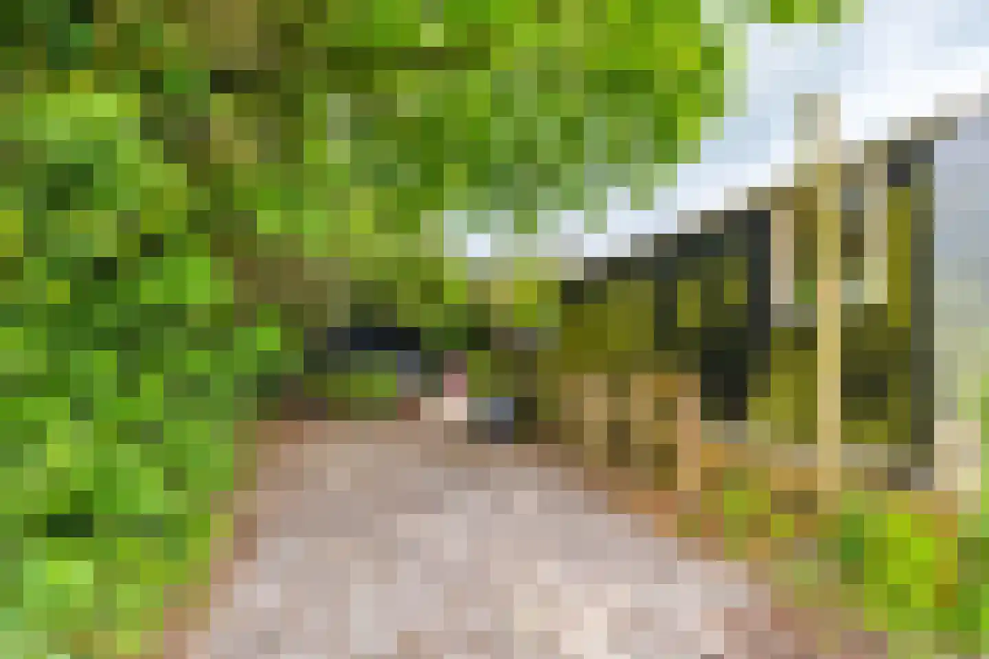 Zuidereinde 33 's-Graveland thumbnail 52