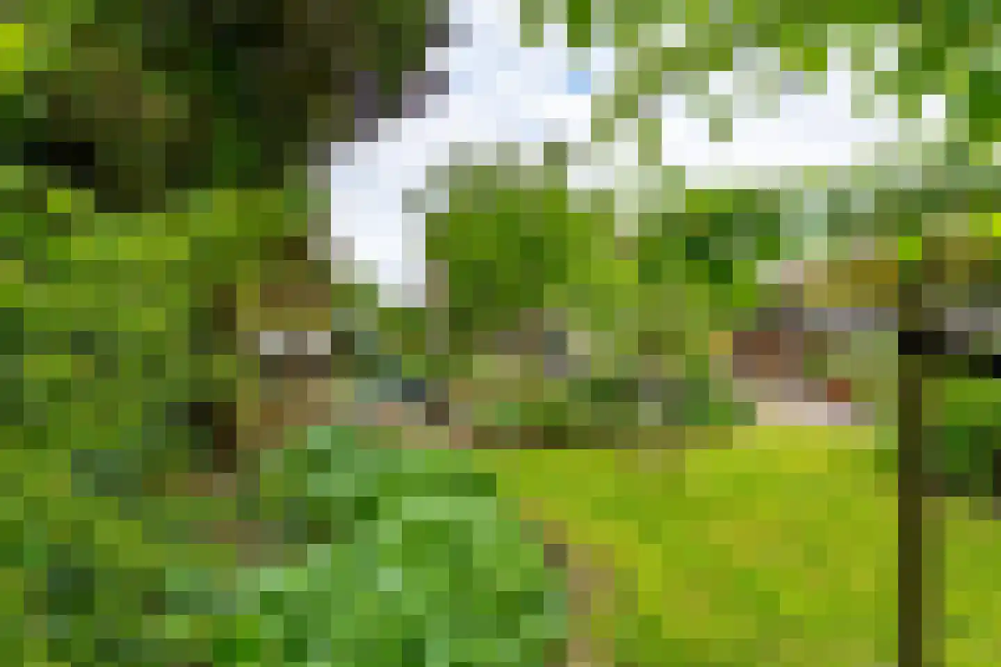 Zuidereinde 33 's-Graveland thumbnail 57
