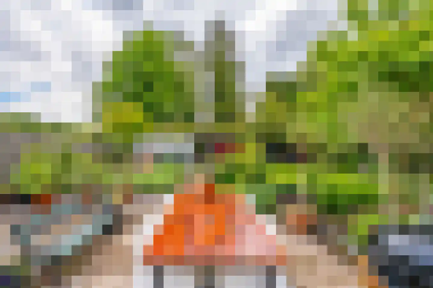 Zuidereinde 33 's-Graveland thumbnail 64