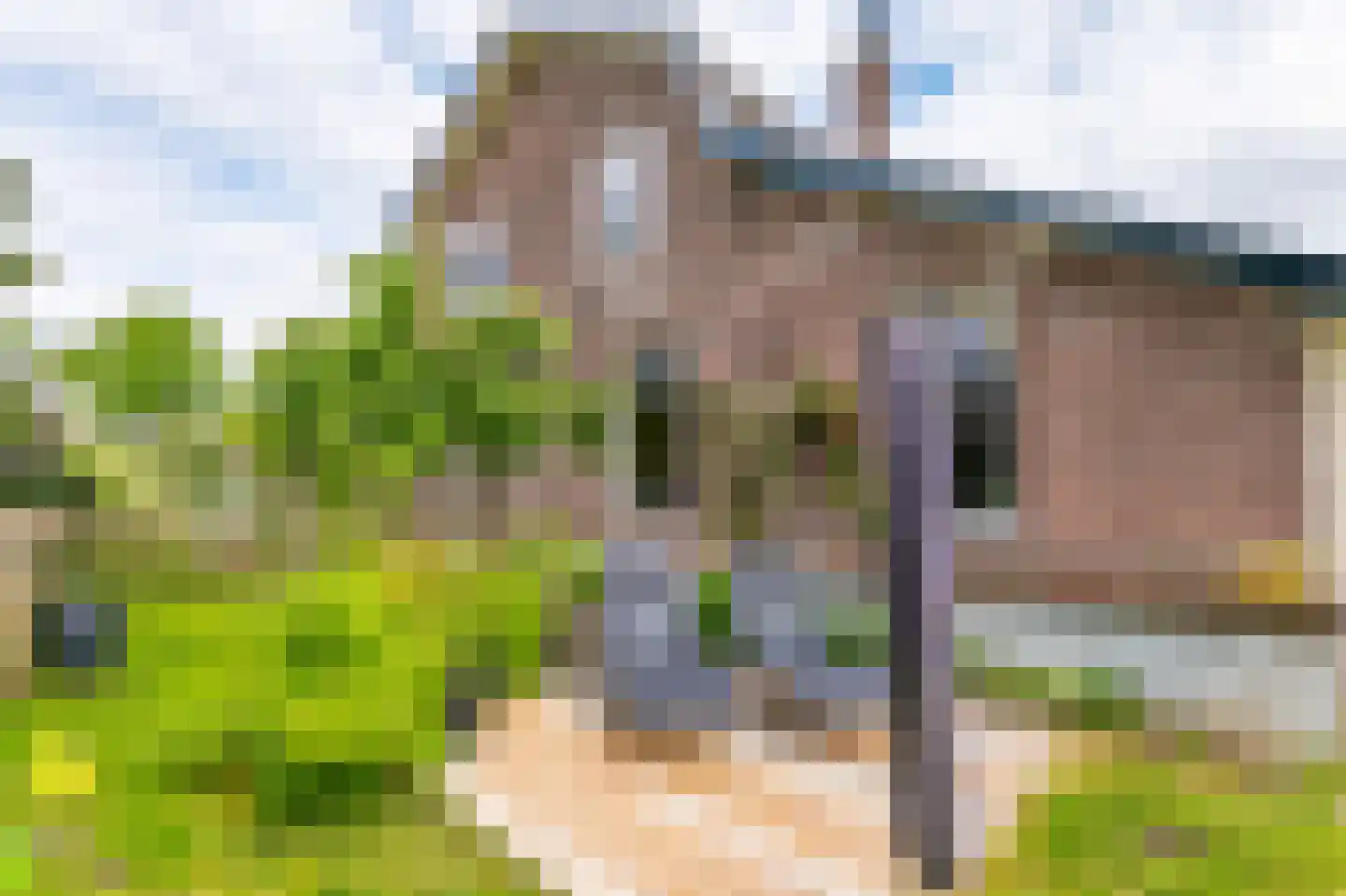 Zuidereinde 33 's-Graveland thumbnail 66