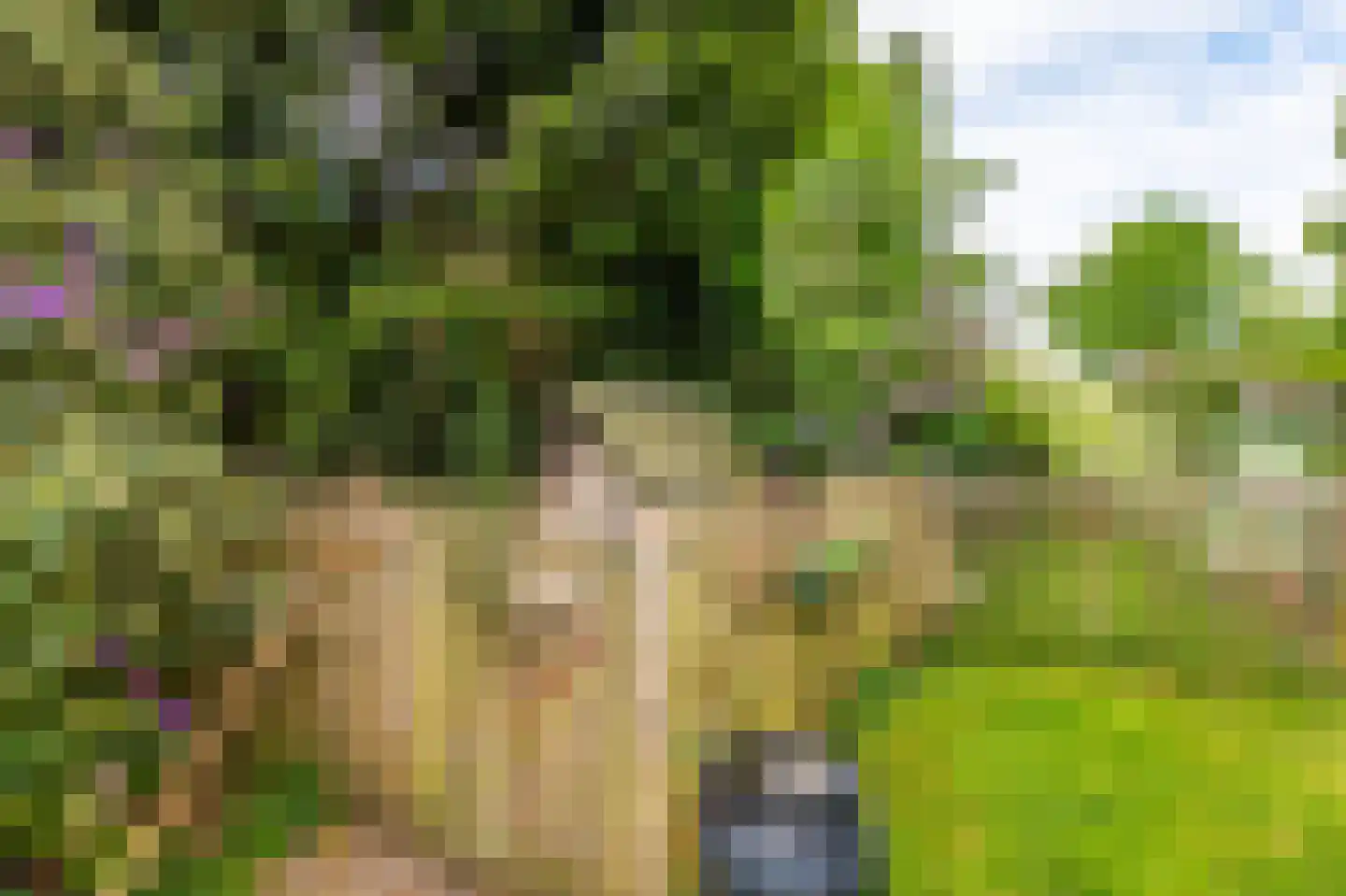 Zuidereinde 33 's-Graveland thumbnail 67
