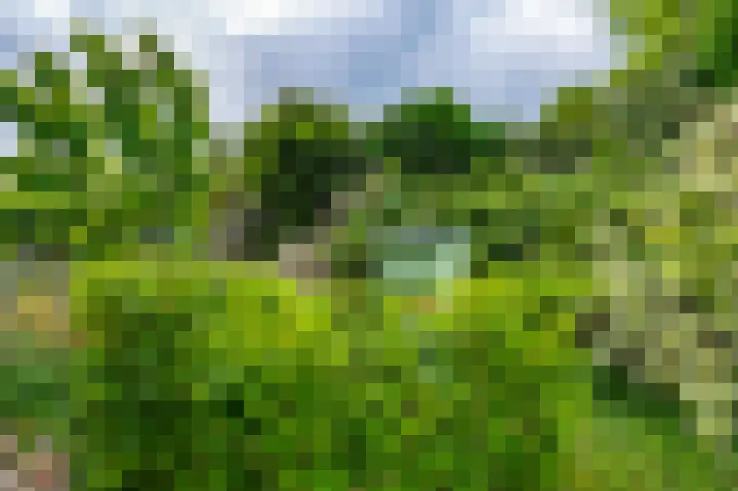 Zuidereinde 33 's-Graveland thumbnail 70