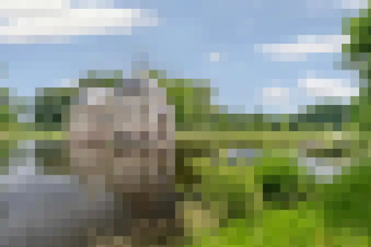 Zuidereinde 60 's-Graveland thumbnail 37