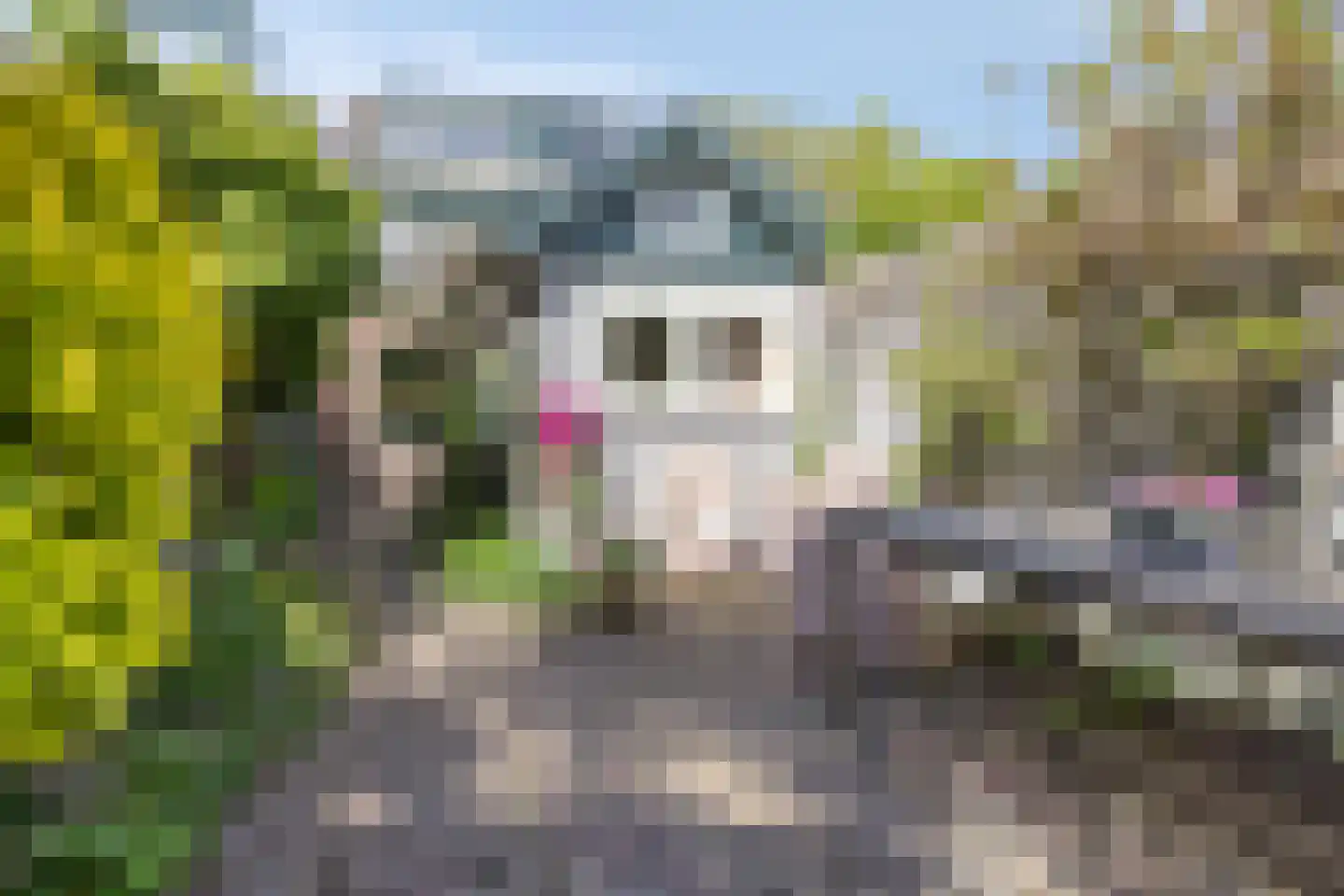 Zuidereinde 69 's-Graveland