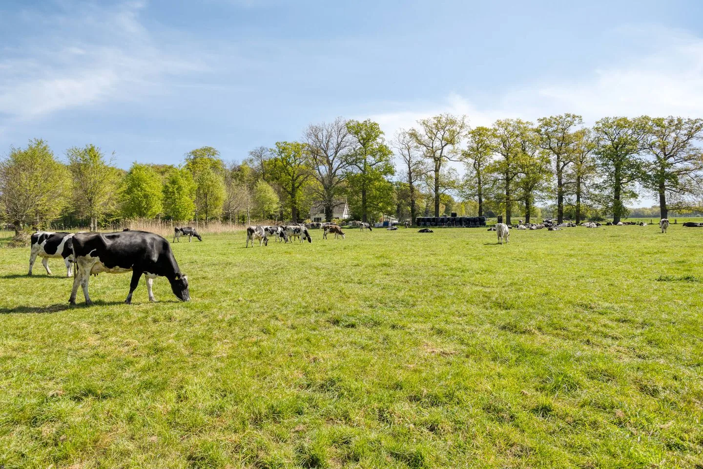 Zuidereinde 69 's-Graveland foto 2
