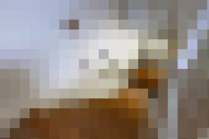 Zuidereinde 79 's-Graveland thumbnail 16