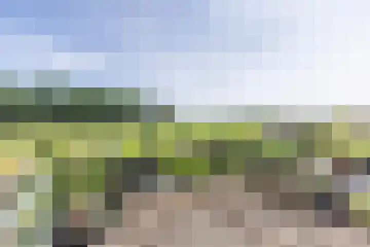 Zuidereinde 79 's-Graveland thumbnail 20