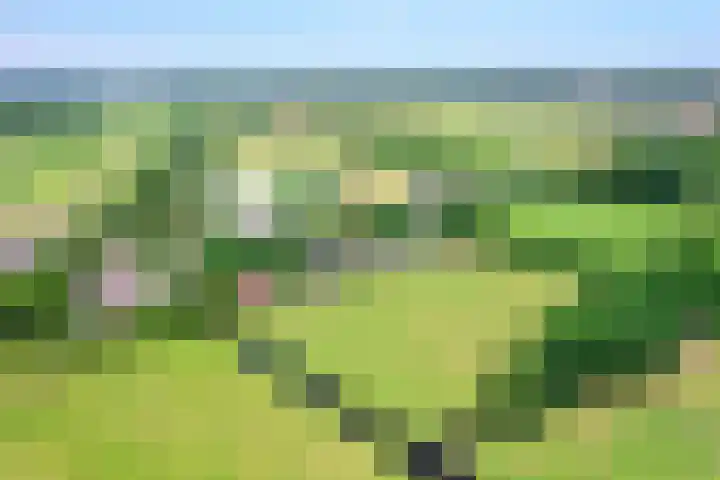 Zuidereinde 79 's-Graveland thumbnail 21