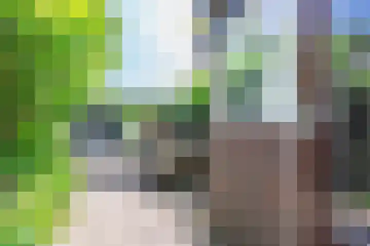 Zuidereinde 79 's-Graveland thumbnail 31