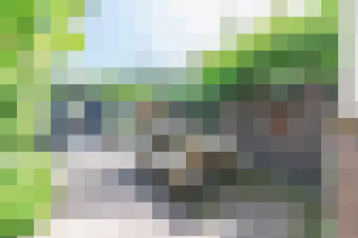Zuidereinde 79 's-Graveland thumbnail 32