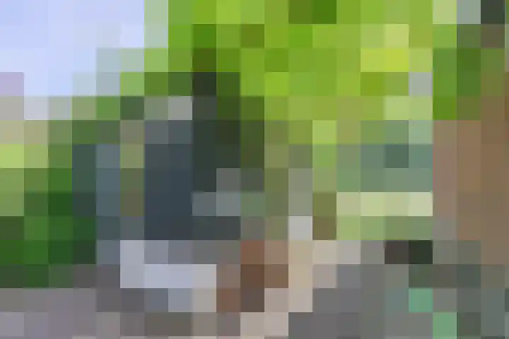 Zuidereinde 79 's-Graveland thumbnail 33