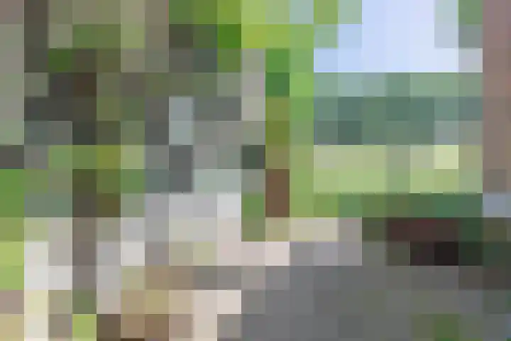 Zuidereinde 79 's-Graveland thumbnail 34