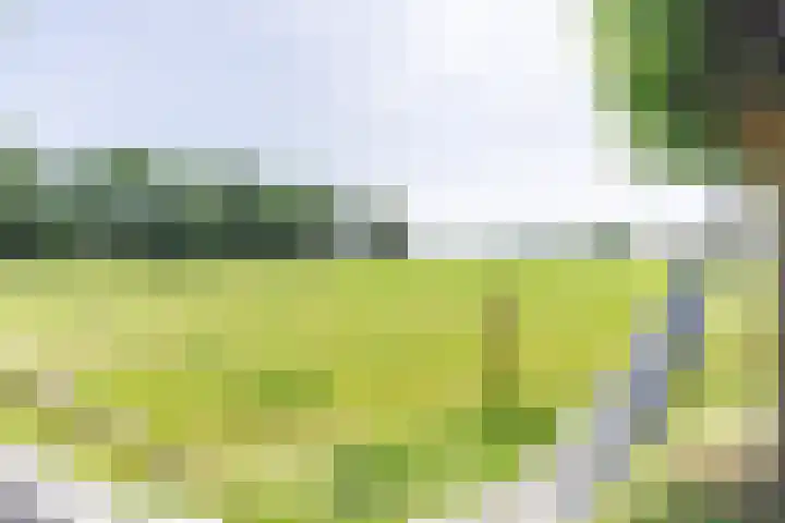 Zuidereinde 79 's-Graveland thumbnail 36