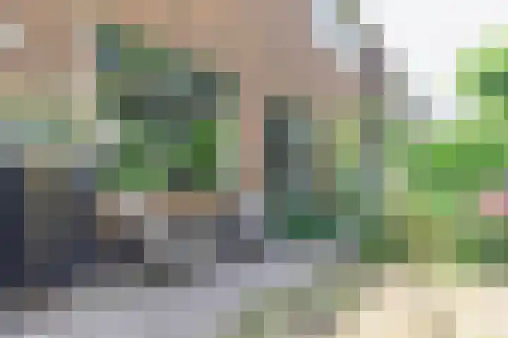 Zuidereinde 79 's-Graveland thumbnail 42