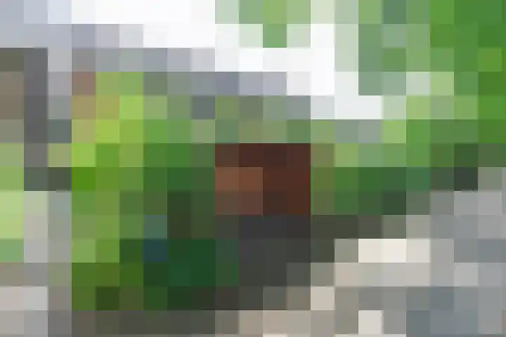 Zuidereinde 79 's-Graveland thumbnail 46