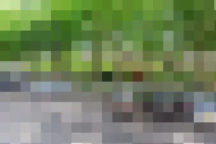 Zuidereinde 79 's-Graveland thumbnail 47
