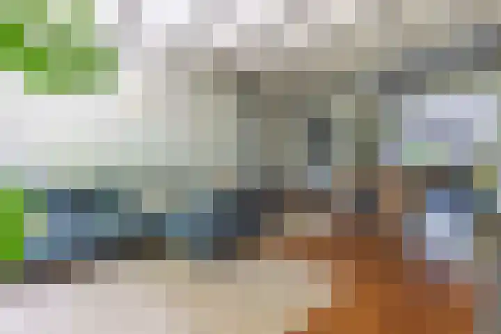 Zuidereinde 79 's-Graveland thumbnail 7