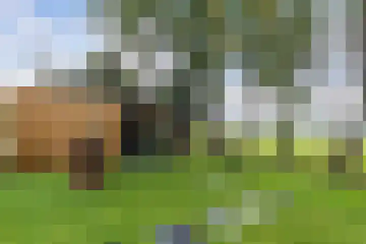 Zuiderend 80 Drachten thumbnail 4