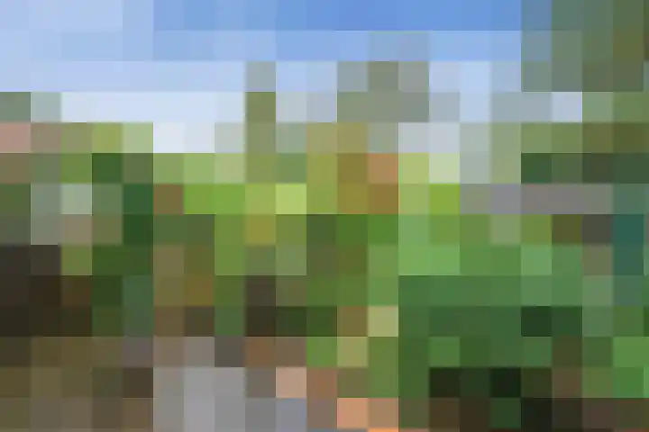 Zuidergeeststraat 15 Heiloo thumbnail 22