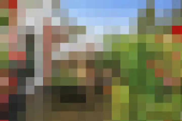 Zuidergeeststraat 15 Heiloo thumbnail 23