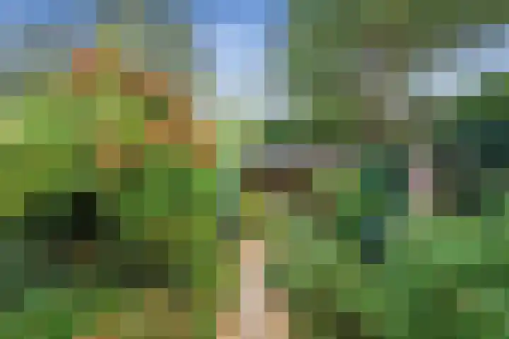 Zuidergeeststraat 15 Heiloo thumbnail 24