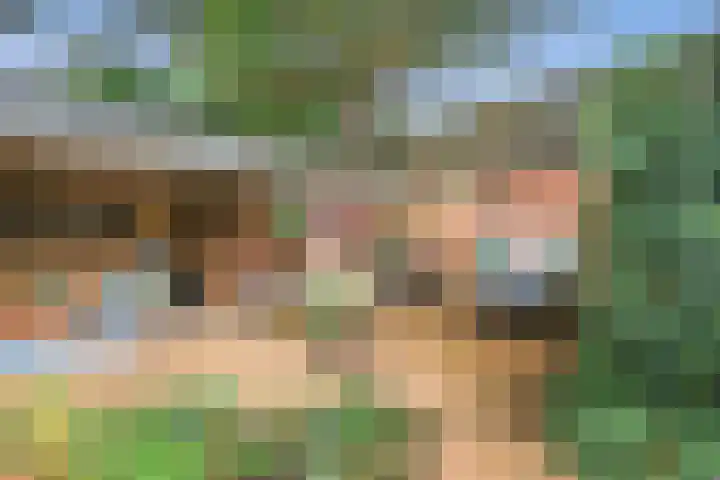 Zuidergeeststraat 15 Heiloo thumbnail 25