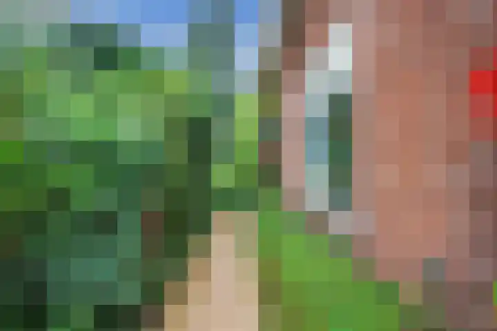 Zuidergeeststraat 15 Heiloo thumbnail 28